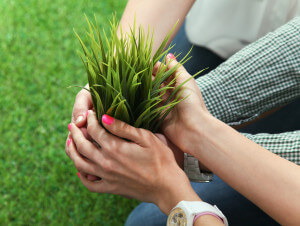 Close-up of people hands holding plant together .