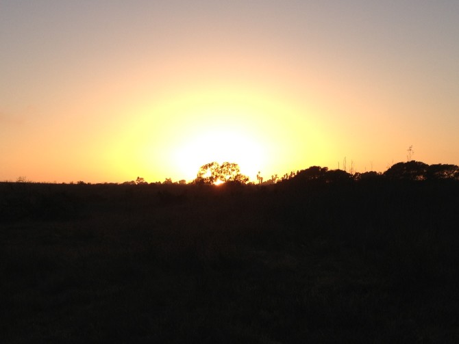 Sunset