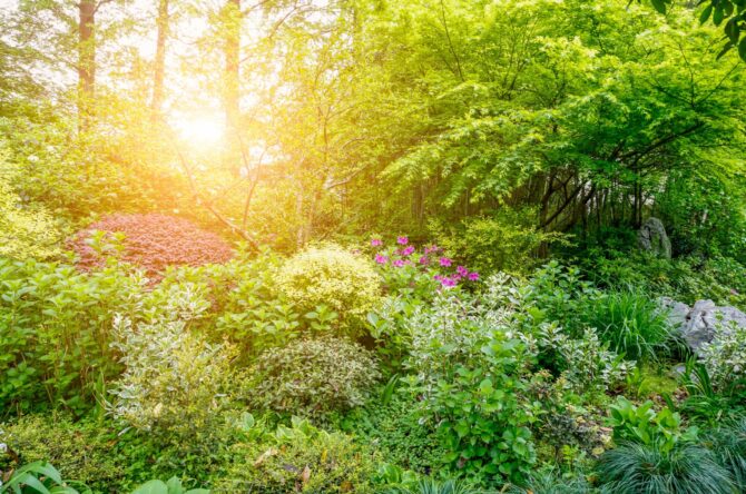 Newsletter images-05