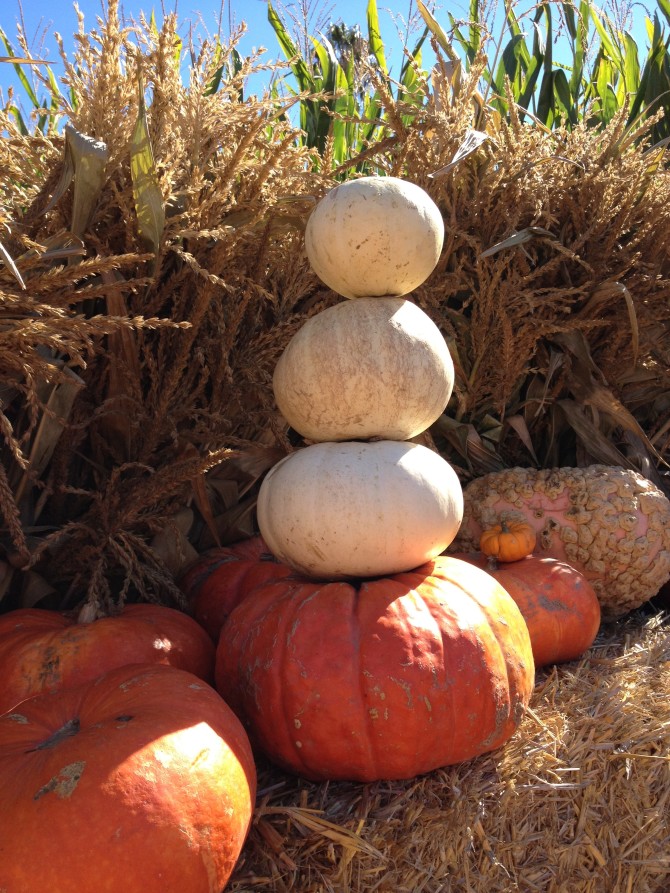 Pumpkins JB